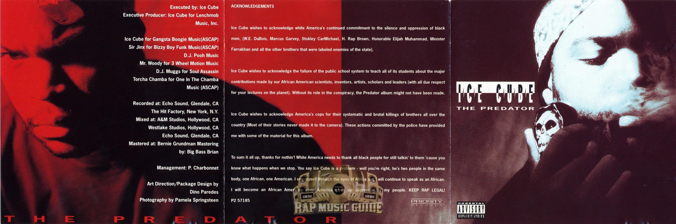 Ice Cube Predator Vinyl, 50% OFF